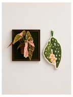 Paw&Leaf leaf-shaped hand towel in green and pink botanical design beside framed plant wall art