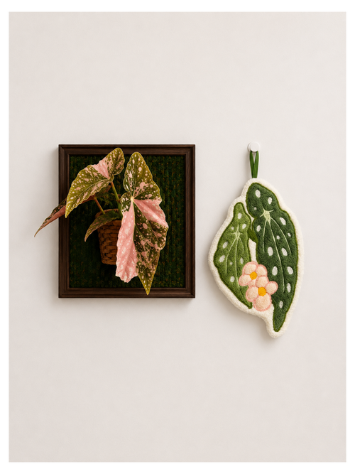Paw&Leaf leaf-shaped hand towel in green and pink botanical design beside framed plant wall art