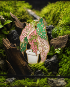Metal Plant Friend Magnet - Caladium Angel Wings leaf-shaped metal fridge magnet in pink and green
