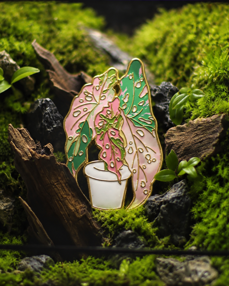 Metal Plant Friend Magnet - Caladium Angel Wings leaf-shaped metal fridge magnet in pink and green