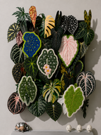 Paw&Leaf leaf-shaped hand towel wall display featuring the full botanical hand towel collection in assorted colors