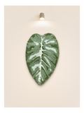 Tufted Plant Rug - full view of leaf-shaped tufted rug in green and white on beige wall