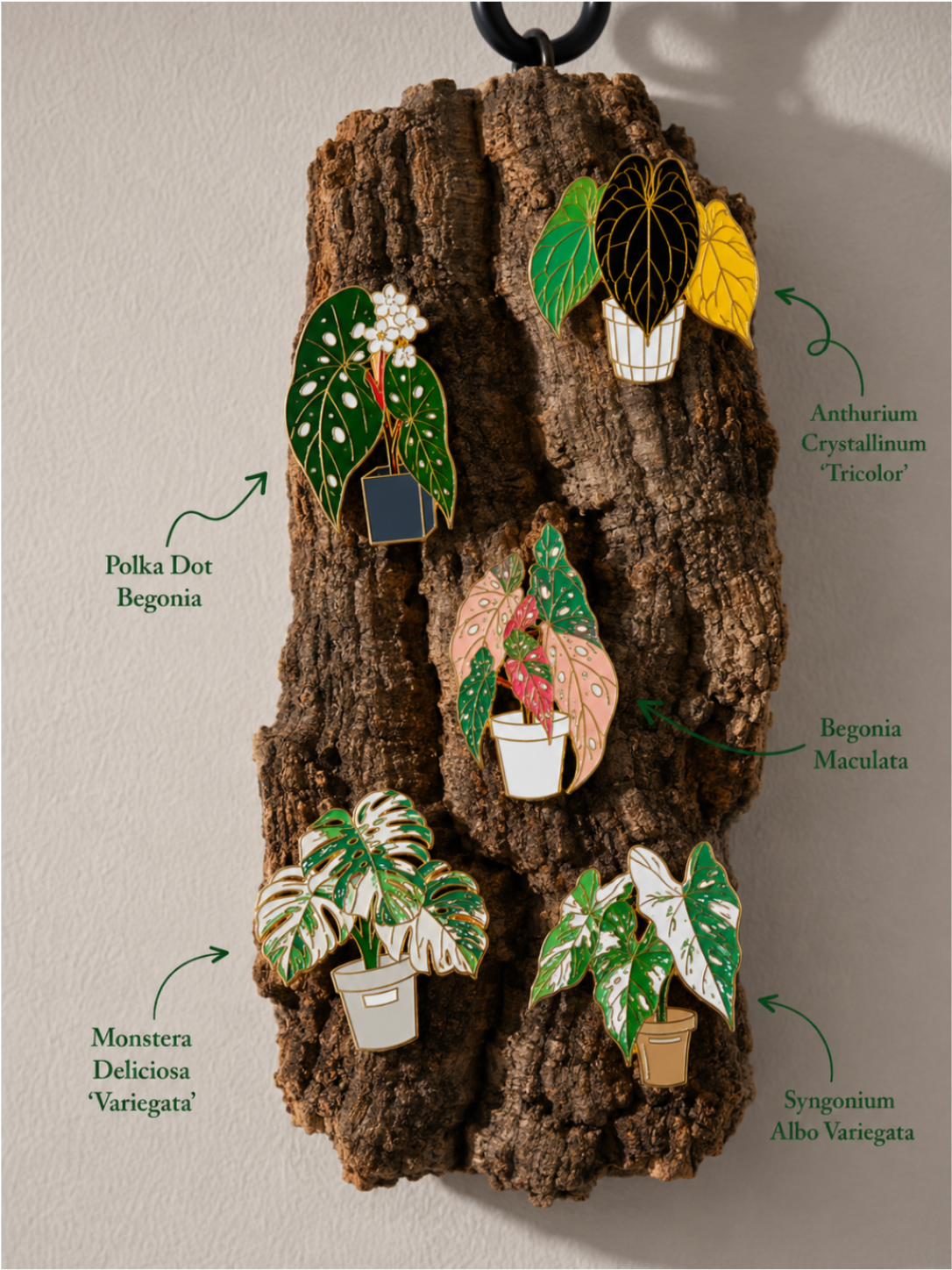 Metal Plant Friend Magnet - five metal leaf fridge magnets: Polka Dot Begonia, Anthurium Crystallinum, Begonia Maculata, Monstera Deliciosa, Syngonium Albo