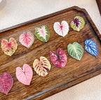 Assorted caladium leaf-shaped magnet color options in Paw&Leaf botanical magnet collection on wood tray