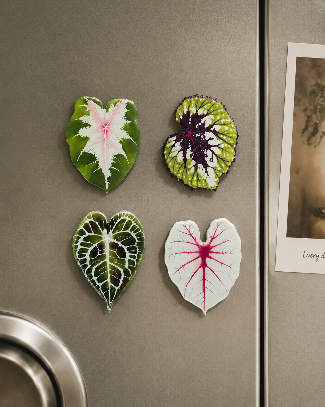 Mini Botanical Magnet Set - four heart-shaped leaf fridge magnets on stainless steel refrigerator